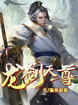 小说：龙剑天尊，作者：偏旁部首