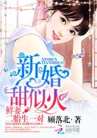 小说：新婚甜似火：鲜妻，二胎生一对，作者：顾落北