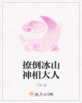 小说：撩倒冰山神相大人，作者：丁黎