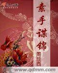 小说：素手谋锦，作者：周琰西