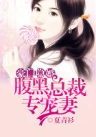 小说：豪门隐婚：腹黑总裁专宠妻，作者：夏青衫