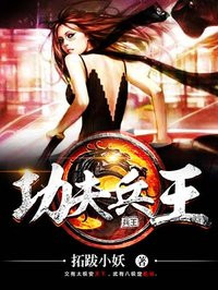 小说：功夫兵王，作者：拓跋小妖