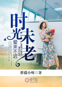 小说：时光未老爱来不迟，作者：胖猫小咪