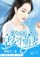 小说：蜜爱成婚：早安，小萌妻，作者：阿敏子