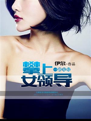 小说：一路危情：攀上女领导，作者：伊尔