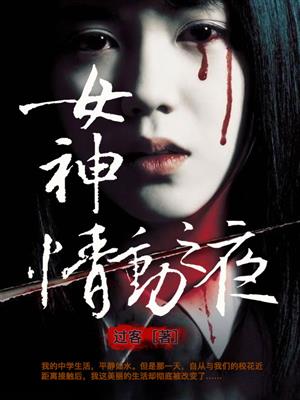 小说：女神情动之夜，作者：过客