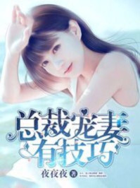 小说：总裁宠妻有技巧，作者：夜夜夜