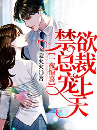 小说：一夜惊喜，禁爱总裁宠上天，作者：蒙火火