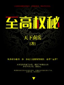 小说：至高权秘，作者：天下南岳