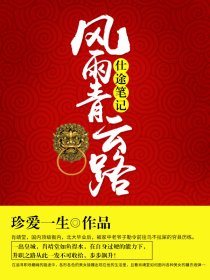 小说：仕途笔记：风雨青云路，作者：珍爱一生
