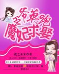 小说：王爷莫跑魔妃求娶，作者：夜之未末