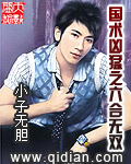 小说：国术凶猛之六合无双，作者：小子无胆