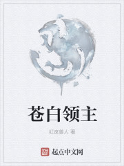 小说：苍白领主，作者：红皮兽人