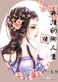小说：开挂的猪脚人生，作者：一七令
