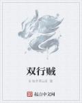 小说：双行贼，作者：6独步青云6