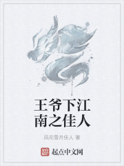 小说：王爷下江南之佳人，作者：风花雪月佳人