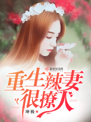 小说：重生辣妻很撩人，作者：坤极