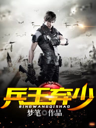小说：兵王弃少，作者：梦笔