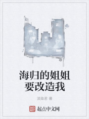 小说：海归的姐姐要改造我，作者：淡染君