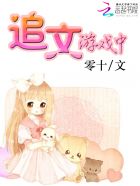 小说：追文游戏中，作者：零十