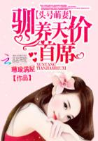 小说：头号萌妻：驯养天价首席，作者：琳琅满屋