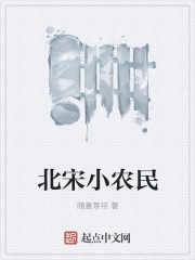 小说：北宋小农民，作者：随意等待