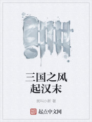 小说：三国之风起汉末，作者：就叫小新