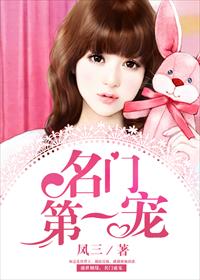 小说：名门第一宠，作者：凤三