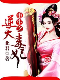 小说：重生之逆天毒妃，作者：北君