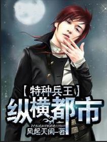 小说：特种兵王纵横都市，作者：风起天阑