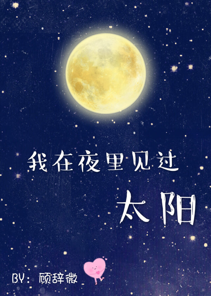 小说：我在夜里见过太阳，作者：顾辞微