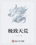 小说：极致天荒，作者：一个活人