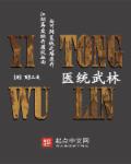 小说：医统武林，作者：页半三更