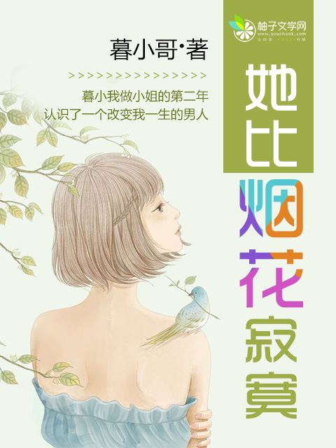 小说：她比烟花寂寞，作者：暮小哥