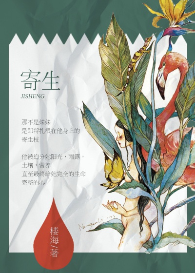 小说：你从夜色而来，作者：楼海