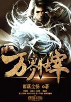 小说：万界独宰，作者：雨落尘扬