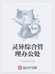 小说：灵异综合管理办公处，作者：平凡的阳光