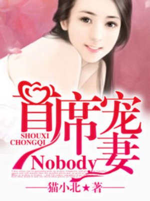 小说：首席宠妻Nobody！，作者：猫小北