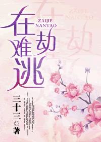 小说：在劫难逃，作者：三十三