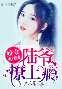 小说：娇妻火辣辣：陆爷，撩上瘾！，作者：芦小花