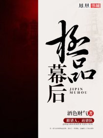 小说：极品幕后，作者：樵夫