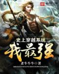 小说：史上穿越系统我最强，作者：老牛牛牛