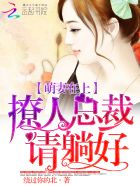 小说：萌妻在上：撩人总裁请躺好，作者：绕过你的北