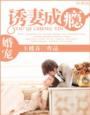 小说：婚宠―诱妻成瘾，作者：玉楼春