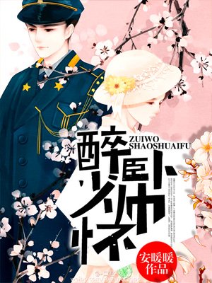 小说：醉卧少帅怀，作者：安暖暖