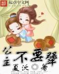 小说：公主不要犟，作者：夏沃