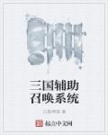 小说：三国辅助召唤系统，作者：白影清溪
