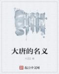 小说：大唐的名义，作者：凡语2