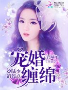 宠婚缠绵:陆少,消停点!