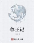小说：尊王记，作者：一夜君